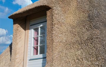 Raydon thatch roof disadvantages