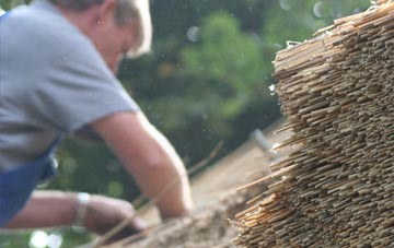 professional Raydon thatchers